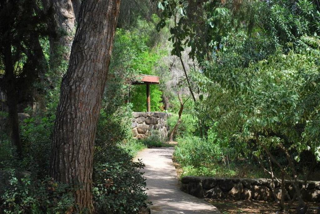 Vered Hagalil Holiday Village Hotel Chorazim Екстериор снимка
